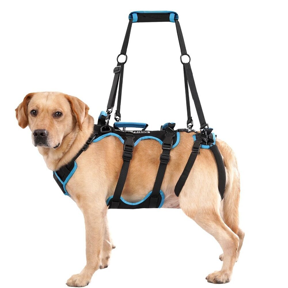 Lafoty Dog Lift Harness Large Male Dogs, 2-in-1, Back Leg Support & Mobility